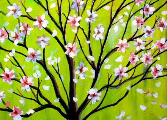 Magnolia Spring