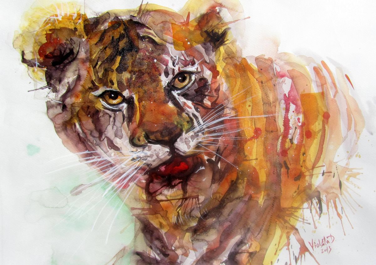 A Tiger by Violeta Damjanovic-Behrendt