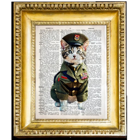 Military Dressed Kitty 2