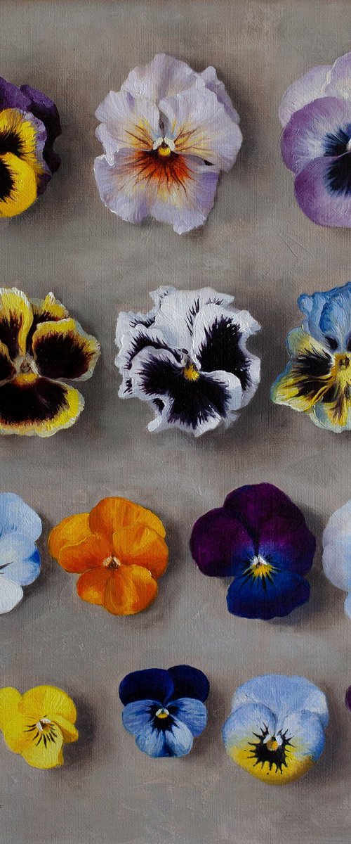 15 Pancies by Davit Davtyan