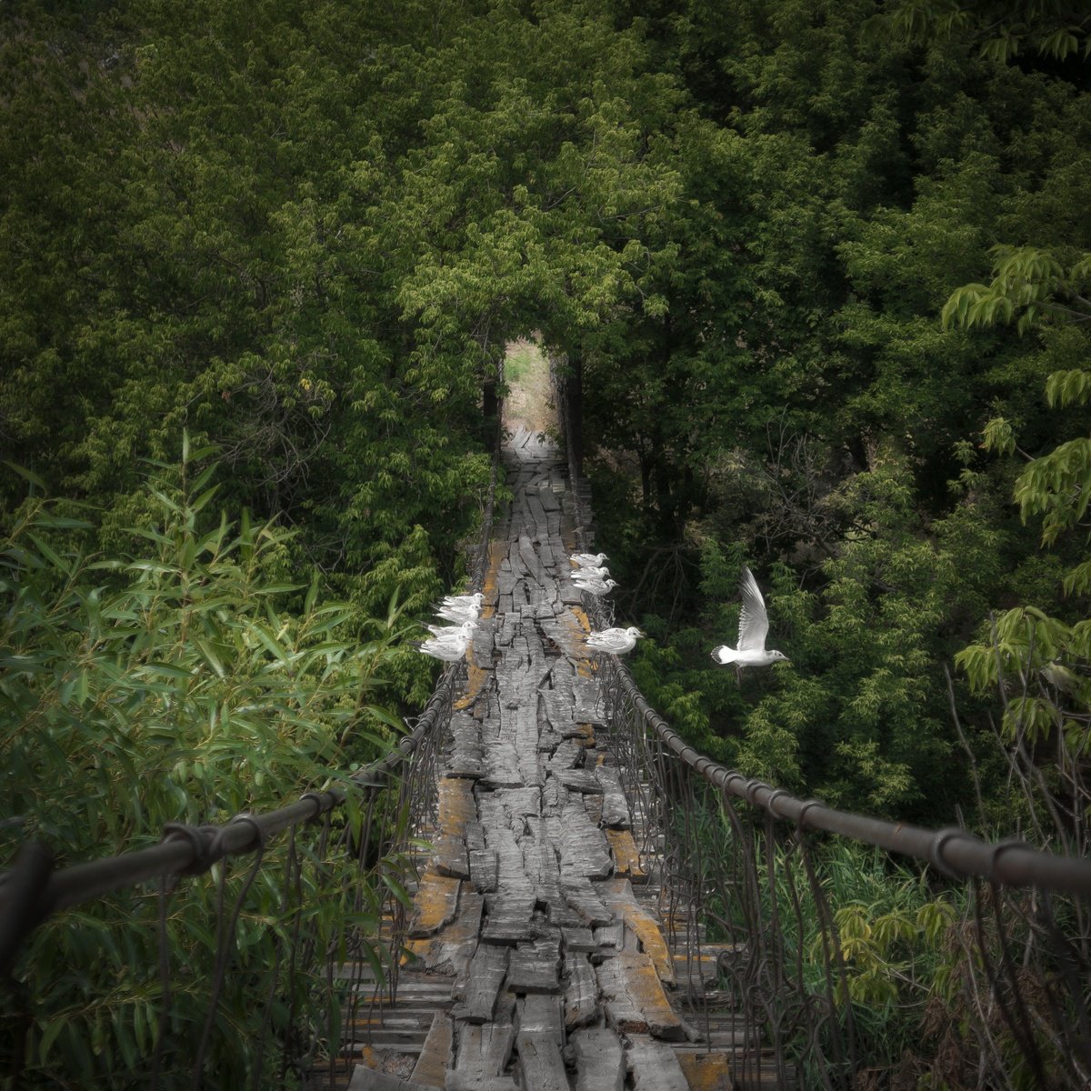 Photorealistic Landscape Photograph By Vlad Durniev, 24 X 24", The Portal, Original Artwork