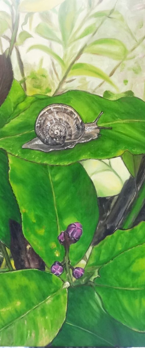 Reckless snail by Cécile Pardigon