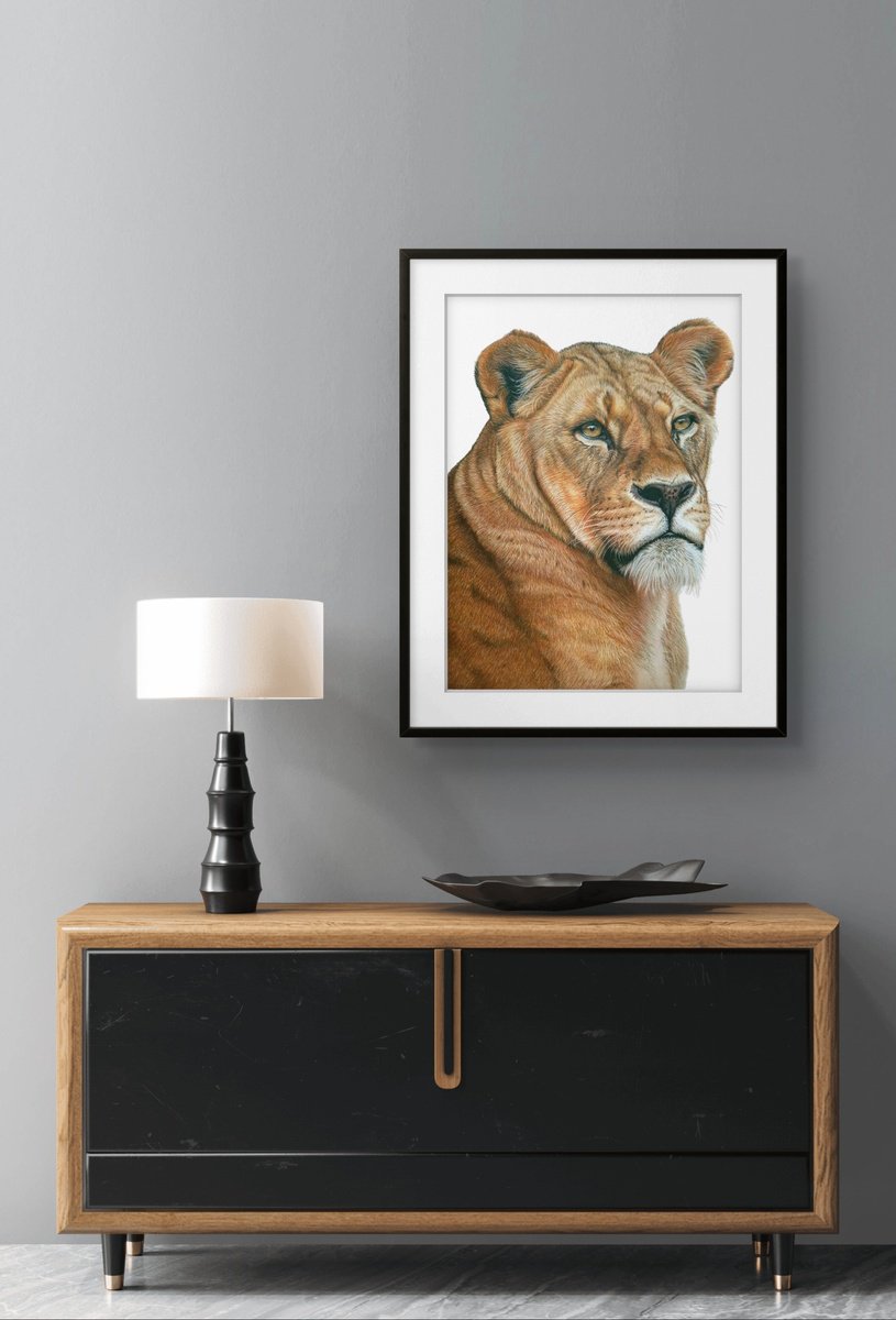 Photorealistic Animal Pencil Drawing By Silvia Frei, 16 X 20", Serenity, Original Artwork