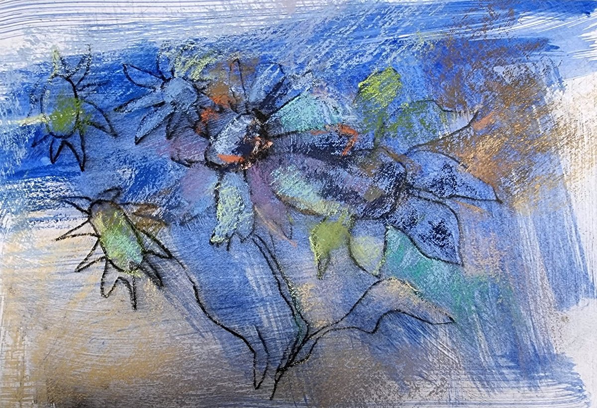 Impressionistic Botanical Painting By Elena Genkin, 12 X 8, Abstract Chamomile In Blue, Original Artwork