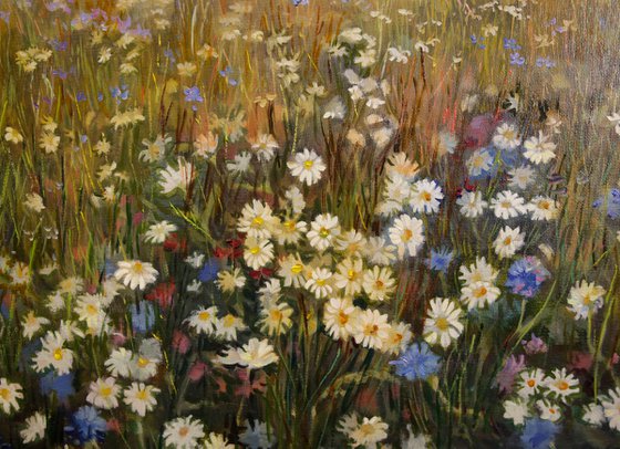 Field of flowers