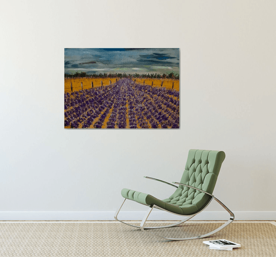 Lavender Field