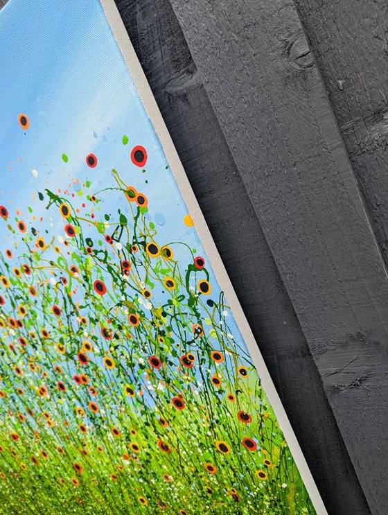 A Symphony Of Poppies #4