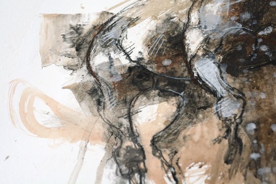 Equine Nude 166t
