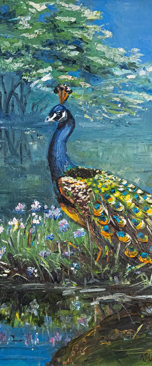 Peacock by Catherine Varadi