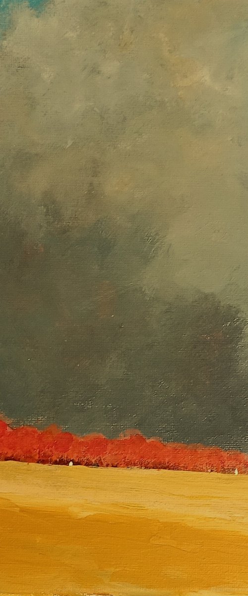 Dark Clouds, Changing Sky by David J Edwards