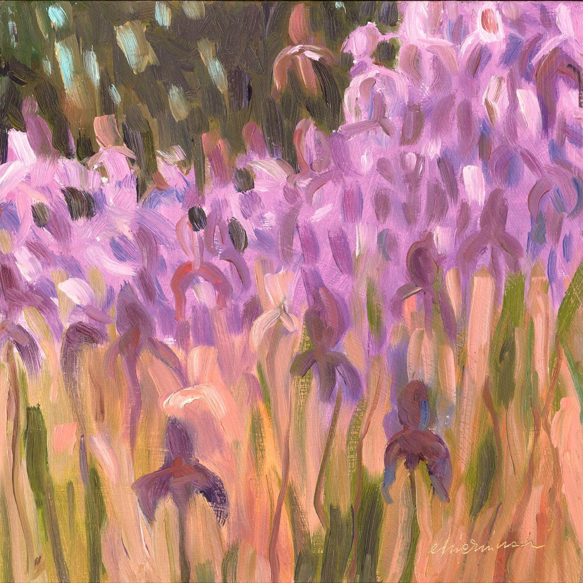 Impressionistic Landscape Oil Painting By Richard Mierniczak, 12 X 12", Irises 2., Original Artwork