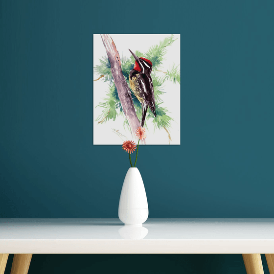 Sapsucker