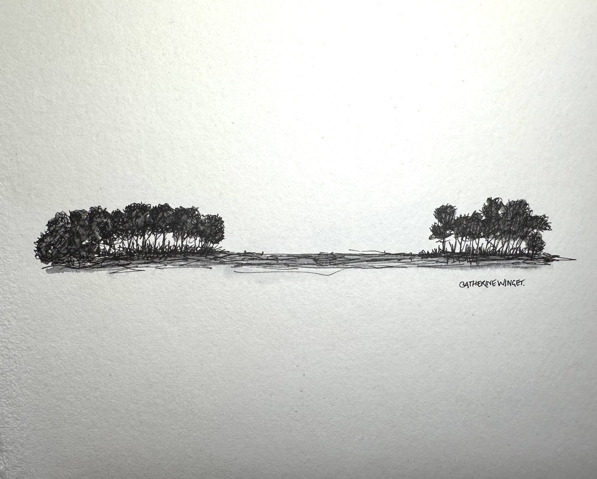 Landscape Ink Drawing By Catherine Winget, 9 X 8, Trees In Pen And Ink - Norfolk Landscape English Countryside, Artfinder