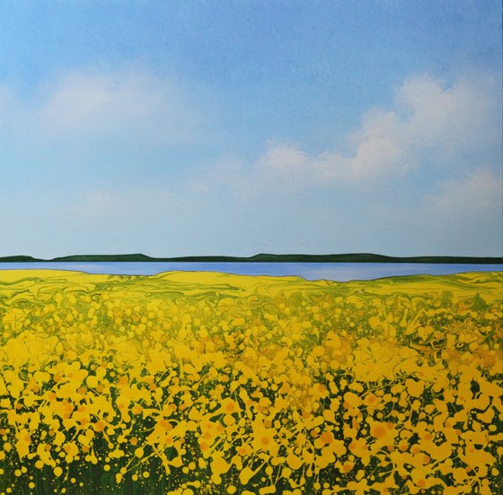 The Silence of Blooming Fields