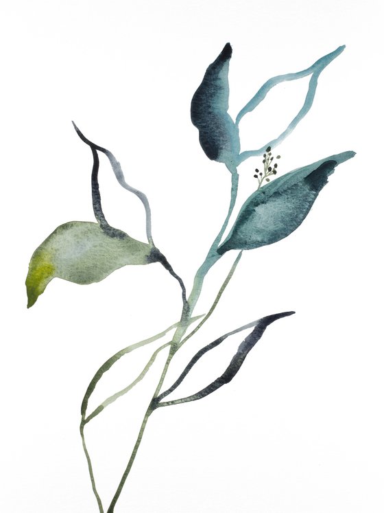 Plant Study No. 82