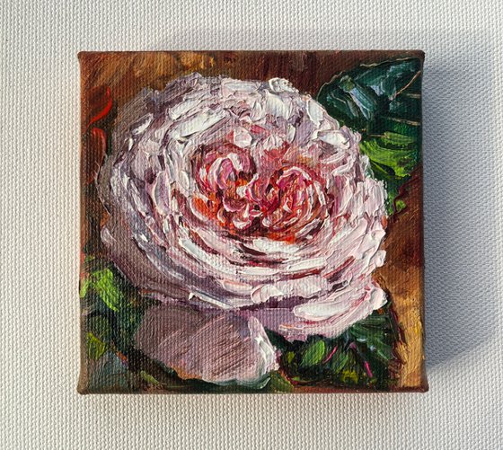 Pink rose original mini still life