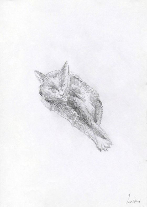 Cat Study 4