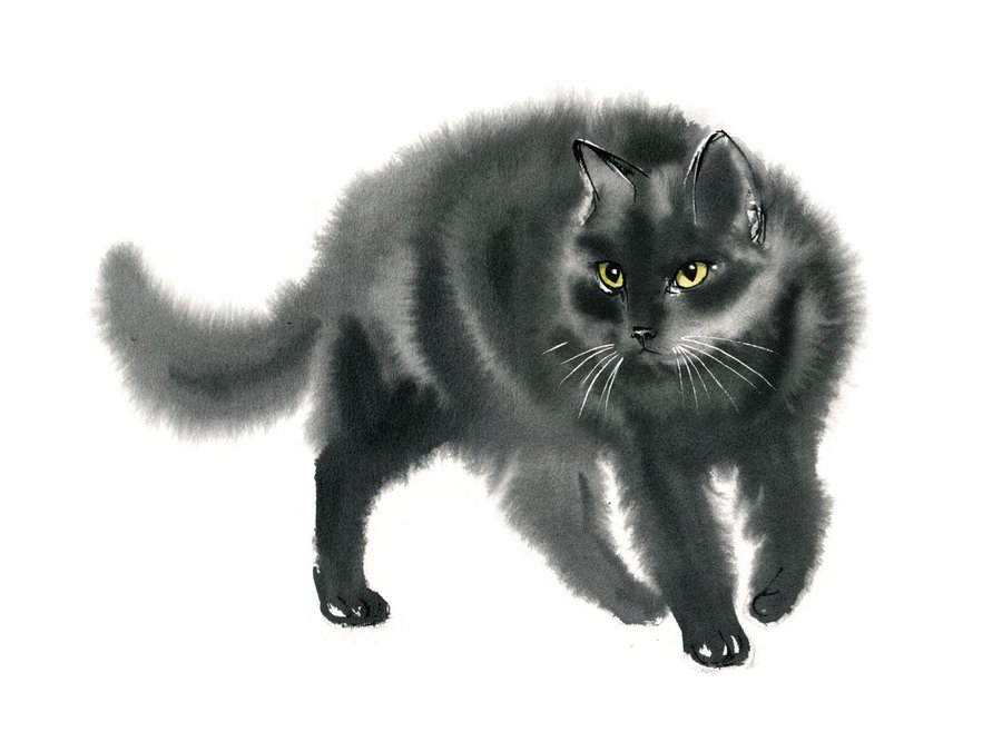 Smokey Grey Cat - fluffy cat – black cat watercolor Watercolour by Olga ...