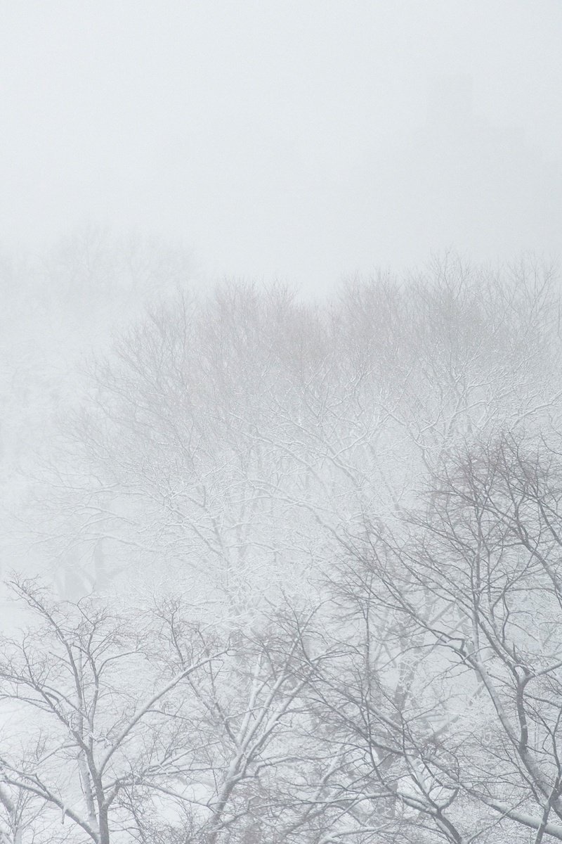 Surrealistic Landscape Photograph By Journey Gong, 28 X 42", Spring Snow, Original Artwork