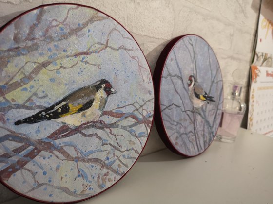 Goldfinch - 1