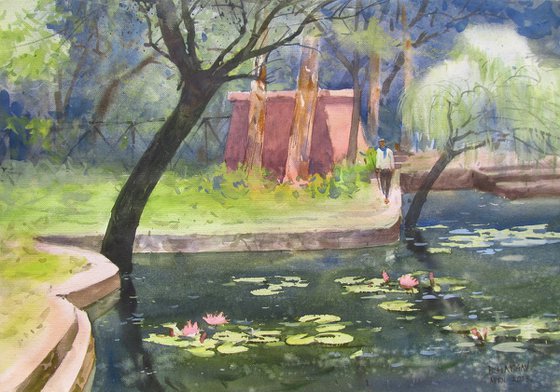 Pond in the garden with water lilies