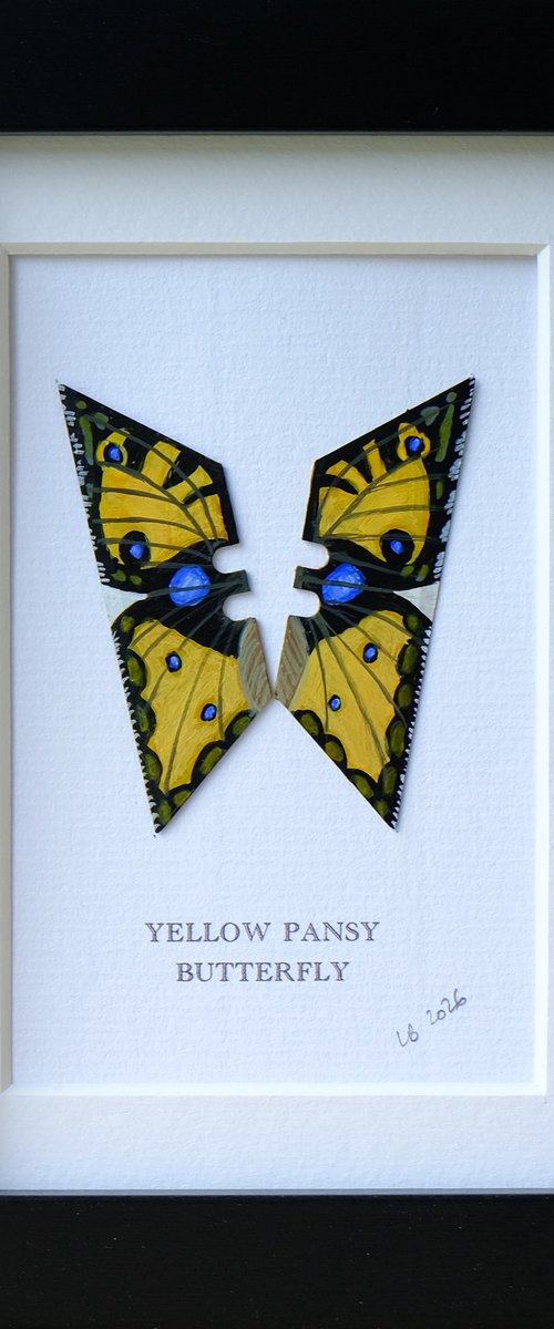 Yellow pansy butterfly by Lene Bladbjerg