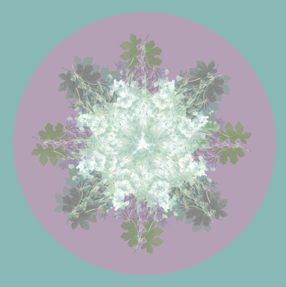 Botanical Mandala #6