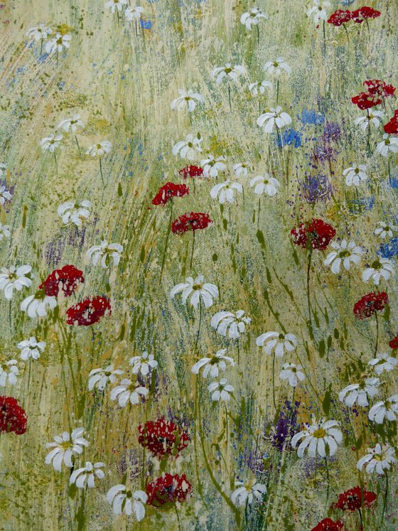 Daisyfield