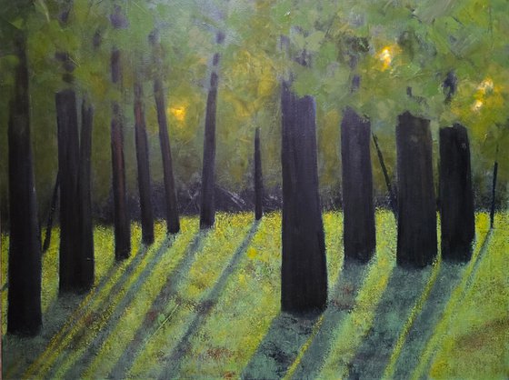 Light Within the Quiet