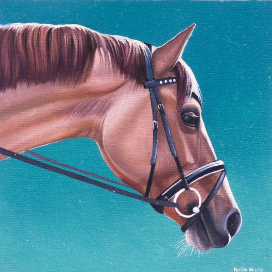 Horse Portrait 3