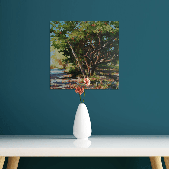 Old apple tree (14x14x0.7'')