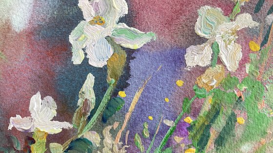 Irises in the garden