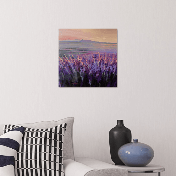 Blushing lavender morning