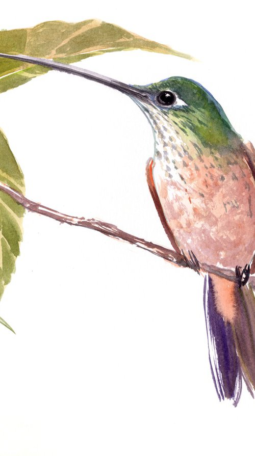Hummingbird on the Tree by Suren Nersisyan