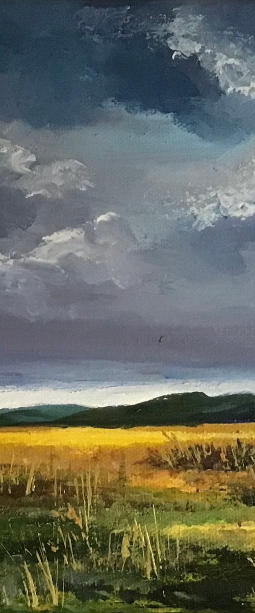 Storm Clouds over the Moor by Valerie Jobes