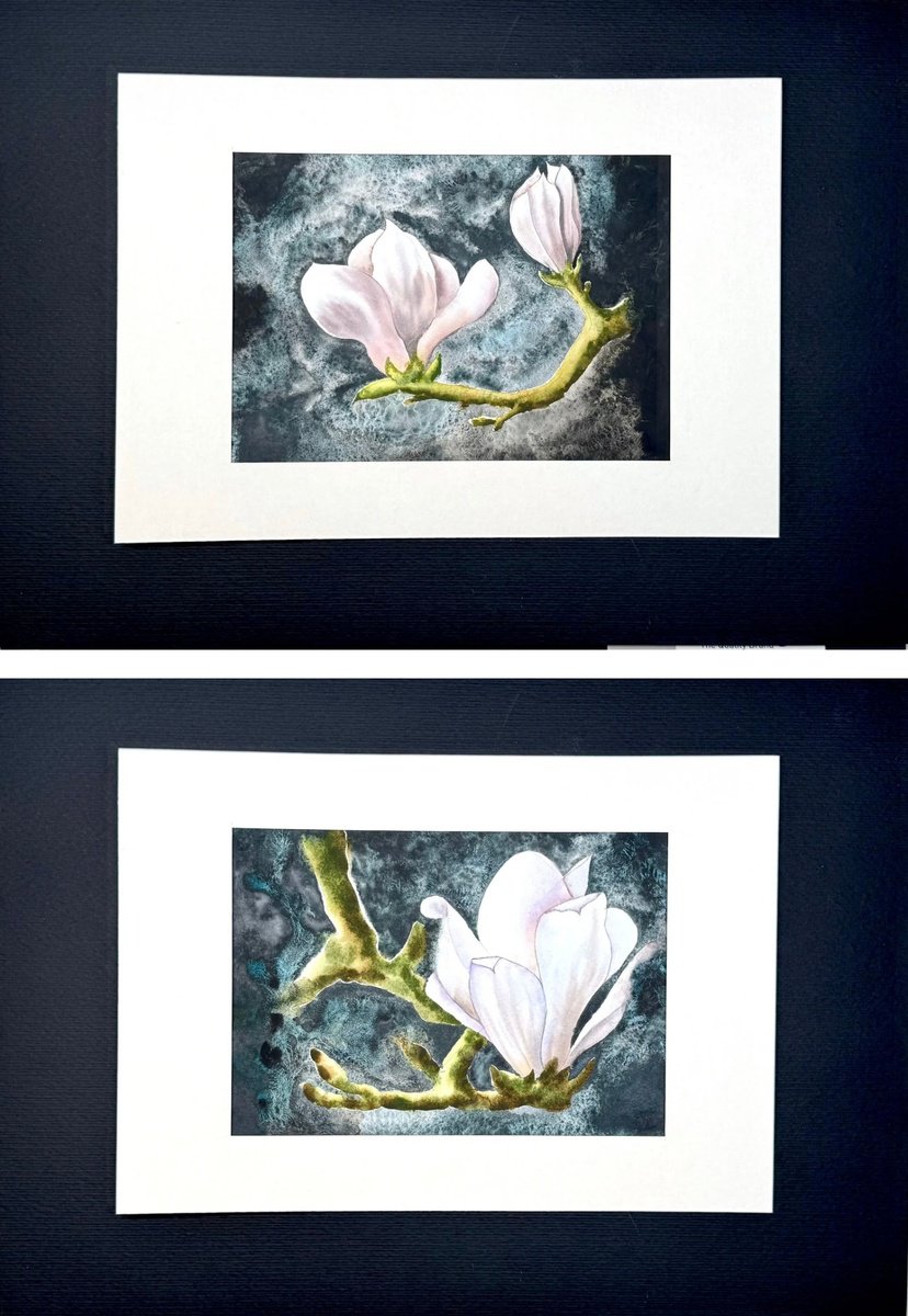 Impressionistic Watercolour , Diptych Magnolia Flowers By Yuliia Sharapova, 14 X 24, Artwork For Sale On Artfinder