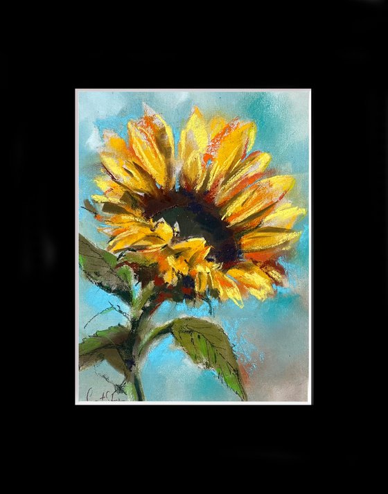 Sunflowers Soft Pastels Drawing