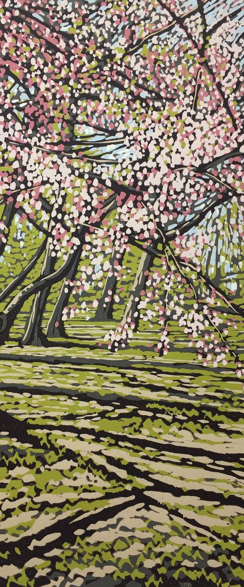 Batsford Blossom by Alexandra Buckle