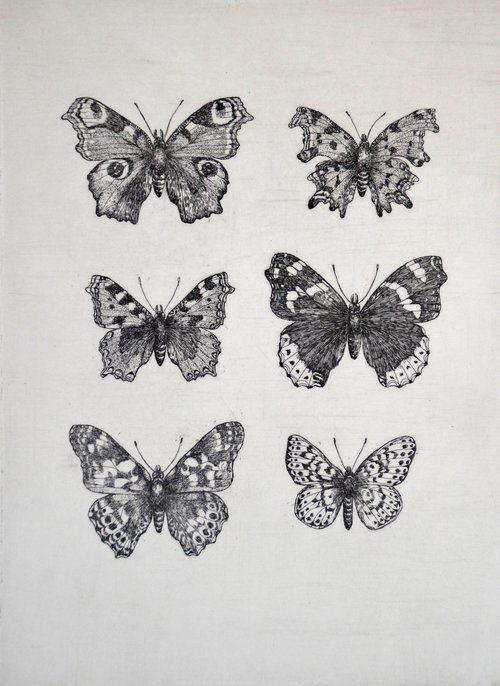 British Butterflies by Tricia Newell