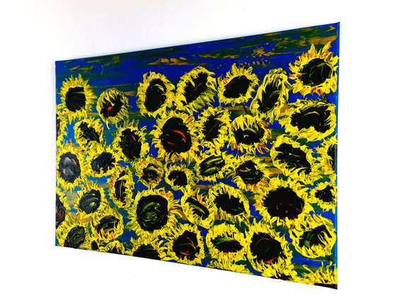 Blooming sunflowers 6