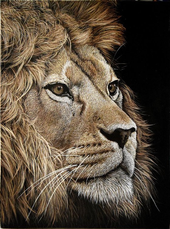 "Lion" 60 x 45 cm , Ready to Hang / hyperrealism / photorealism / wild cat / wild life/ animalism