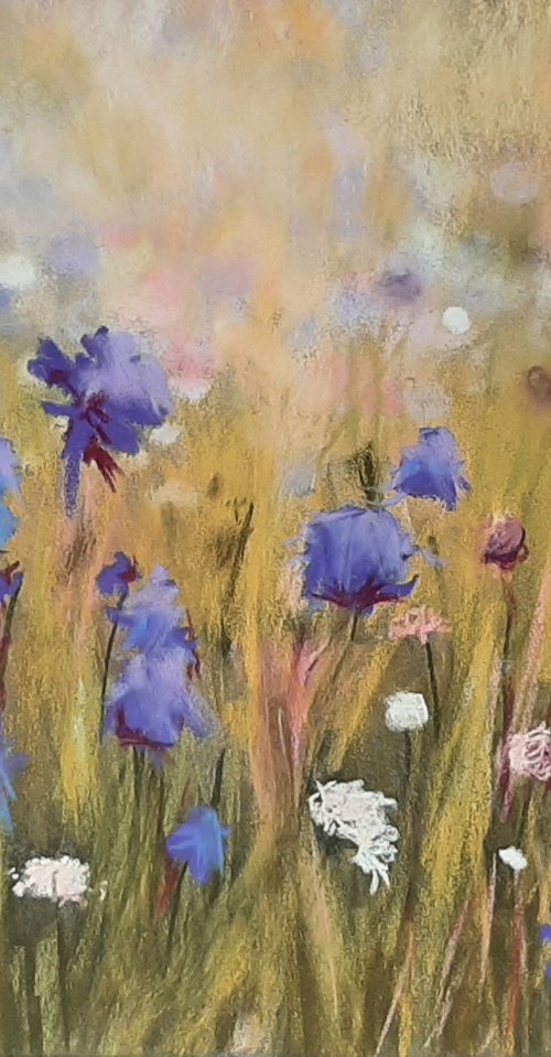 Wildflowers by Anne Shaughnessy