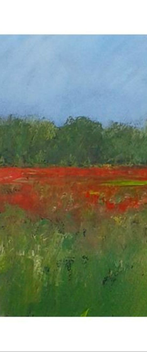 Poppies on Pewley Down, Surrey II by Jan Rippingham