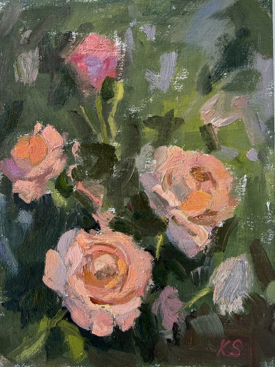 Garden roses