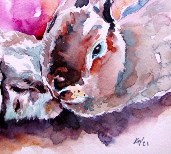 Cute rabbits collection