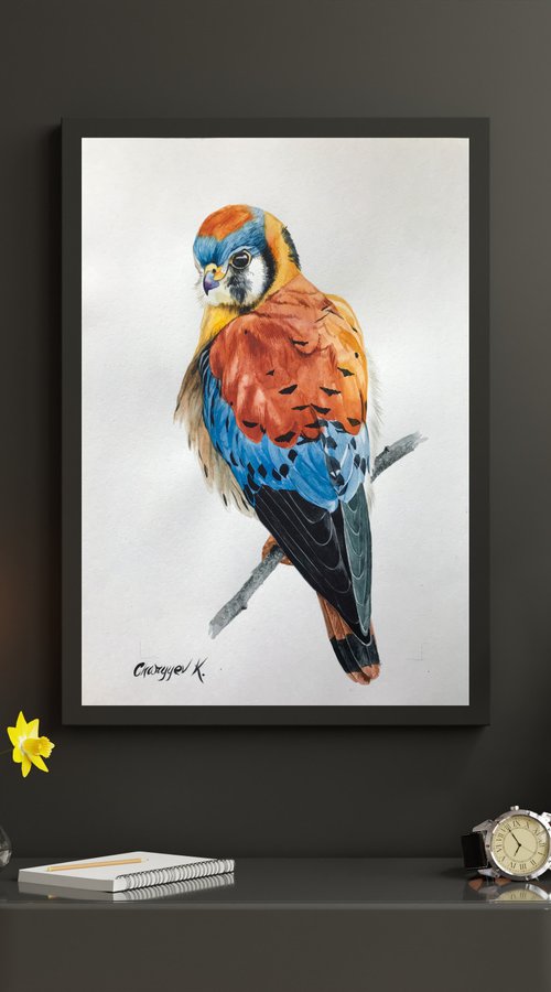 The American kestrel from collection "watercolor birds" by Kakajan Charyyev