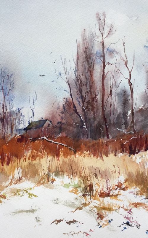 First snow in Sablino. by Irina Bibik-Chkolian