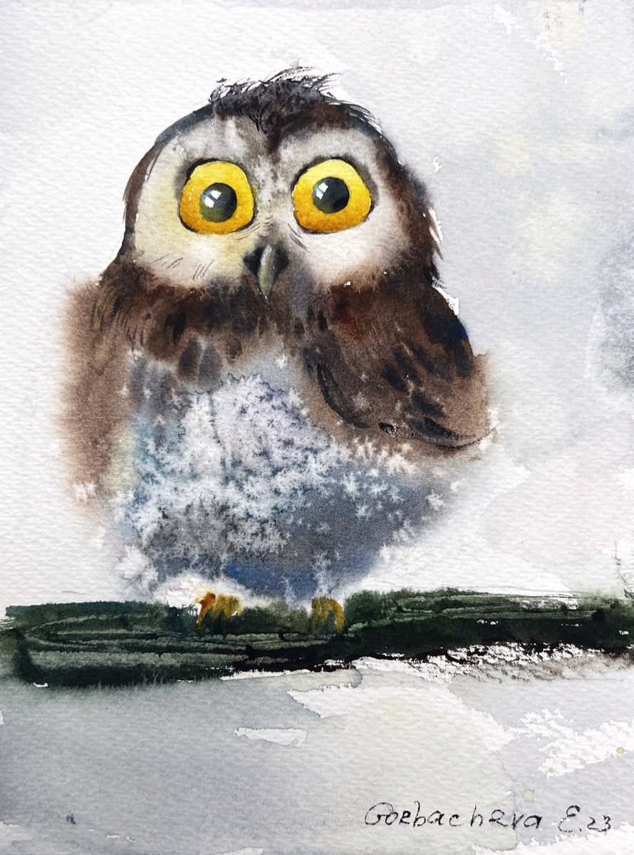 Little owl on a branch #15 by Eugenia Gorbacheva