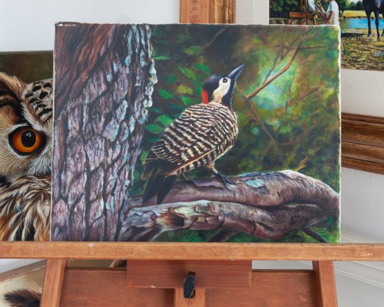Woodpecker in the Forest
