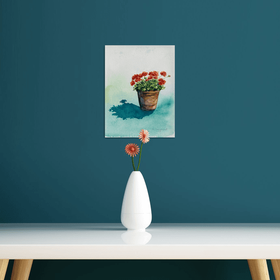 A pot of Geraniums